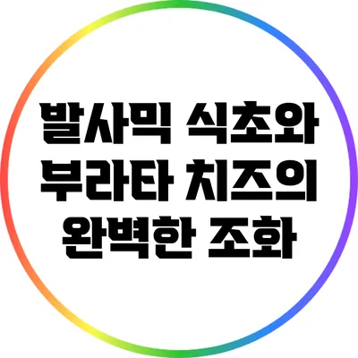 발사믹 식초와 부라타 치즈의 완벽한 조화