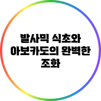 발사믹 식초와 아보카도의 완벽한 조화