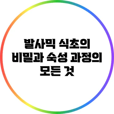 발사믹 식초의 비밀과 숙성 과정의 모든 것