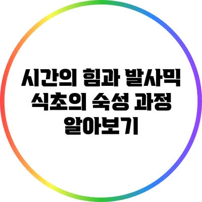시간의 힘과 발사믹 식초의 숙성 과정 알아보기