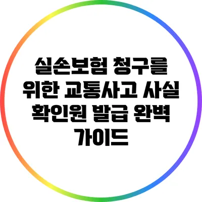 실손보험 청구를 위한 교통사고 사실 확인원 발급 완벽 가이드