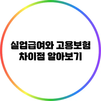 실업급여와 고용보험 차이점 알아보기