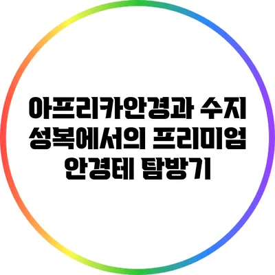 아프리카안경과 수지 성복에서의 프리미엄 안경테 탐방기