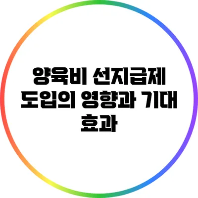 양육비 선지급제 도입의 영향과 기대 효과