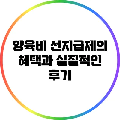양육비 선지급제의 혜택과 실질적인 후기