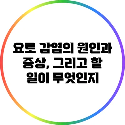 요로 감염의 원인과 증상, 그리고 할 일이 무엇인지