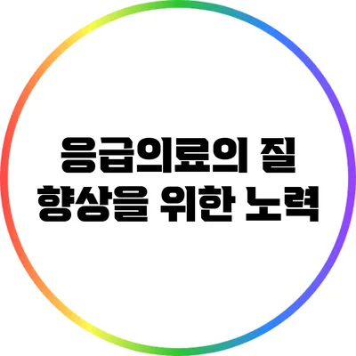 응급의료의 질 향상을 위한 노력