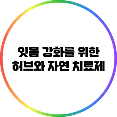 잇몸 강화를 위한 허브와 자연 치료제