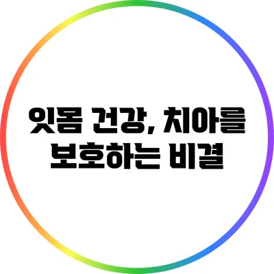 잇몸 건강, 치아를 보호하는 비결