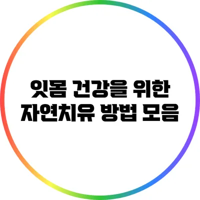 잇몸 건강을 위한 자연치유 방법 모음