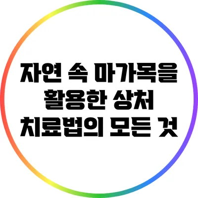 자연 속 마가목을 활용한 상처 치료법의 모든 것