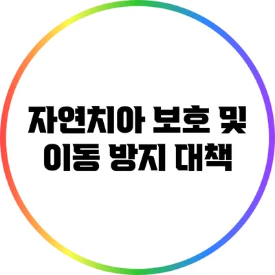 자연치아 보호 및 이동 방지 대책