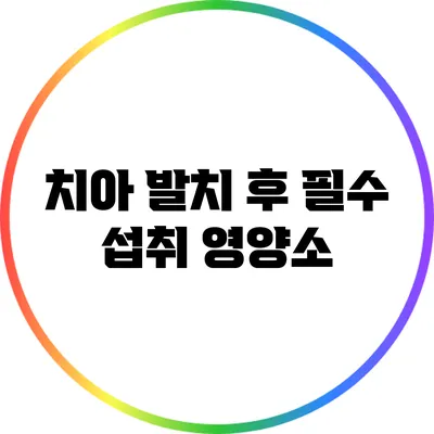 치아 발치 후 필수 섭취 영양소