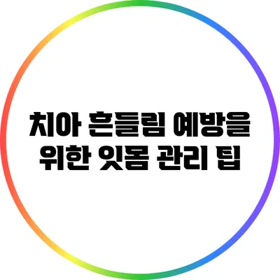 치아 흔들림 예방을 위한 잇몸 관리 팁