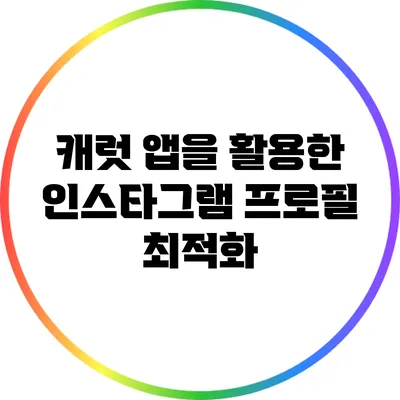 캐럿 앱을 활용한 인스타그램 프로필 최적화