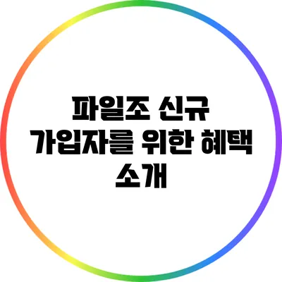 파일조 신규 가입자를 위한 혜택 소개