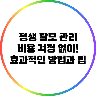 평생 탈모 관리 비용 걱정 없이! 효과적인 방법과 팁