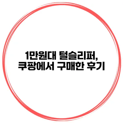 1만원대 털슬리퍼, 쿠팡에서 구매한 후기