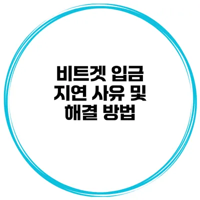 비트겟 입금 지연 사유 및 해결 방법
