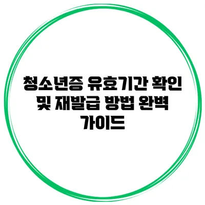청소년증 유효기간 확인 및 재발급 방법 완벽 가이드