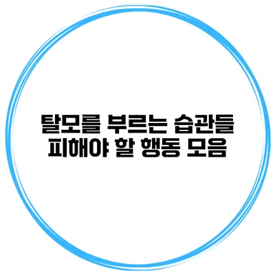 탈모를 부르는 습관들 피해야 할 행동 모음